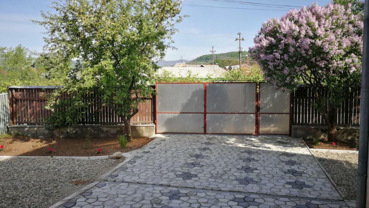 Pensiunea Selena Viseu de Sus Exterior photo